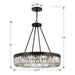 Crystorama ALI-B2010-CZ Alister Ten Light Chandelier Charcoal Bronze Alternate Image 4.jpg