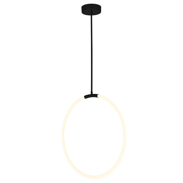 CWI Lighting 1273P24-1-101 Hoops LED Chandelier Black Alt 1.jpg