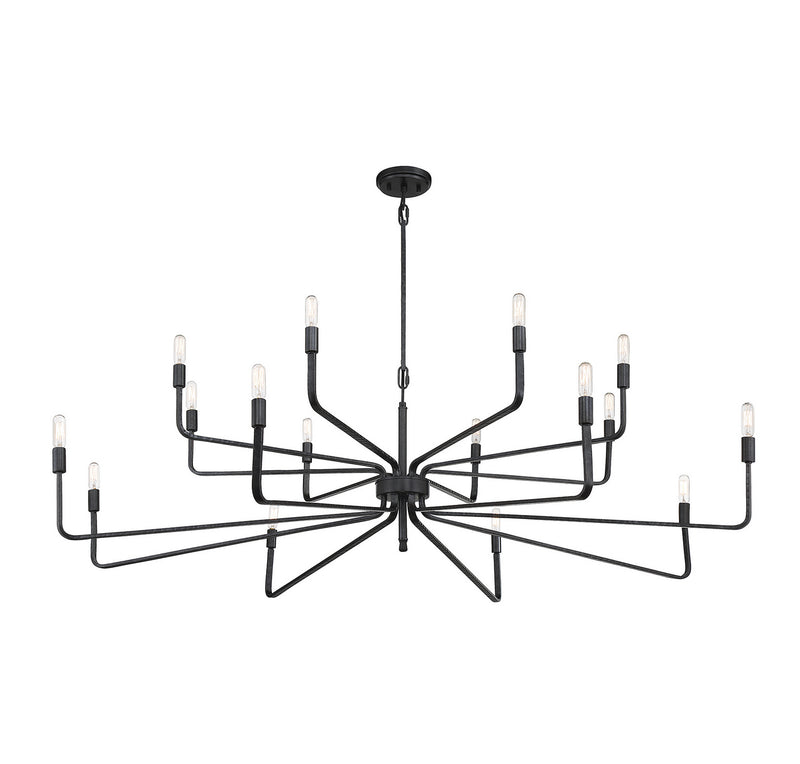 Savoy House 1-6402-16-190 16 Light Chandelier, Forged Iron (4)