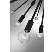 Savoy House 7-6099-24-89 24 Light Chandelier, Matte Black (3)