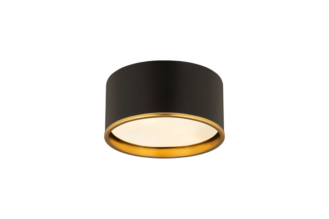 Z-Lite 2303F2-MB-RB Arlo Two Light Flush Mount, Matte Black / Rubbed Brass Alternate Image.jpg