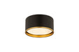 Z-Lite 2303F2-MB-RB Arlo Two Light Flush Mount, Matte Black / Rubbed Brass Alternate Image.jpg