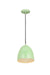 Z-Lite 6012P9-MIN Z Studio Dome Pendant One Light Pendant, Mint Alternate Image 2.jpg