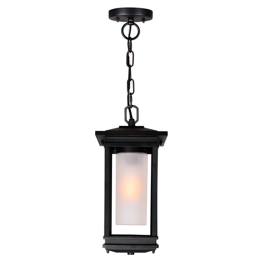 CWI Lighting 0412P7-1-101 Granville One Light Outdoor Hanging Pendant Black Alt 1.jpg