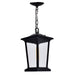 CWI Lighting 0413P8-1-101 Leawood One Light Outdoor Hanging Pendant, Black Alternate Image.jpg