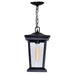 CWI Lighting 0413P8-1-101 Leawood One Light Outdoor Hanging Pendant, Black Alternate Image 2.jpg