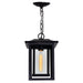 CWI Lighting 0414P10-1-101 Winfield One Light Outdoor Hanging Pendant, Black Alternate Image 2.jpg