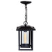 CWI Lighting 0414P10-1-101 Winfield One Light Outdoor Hanging Pendant, Black Alternate Image 3.jpg