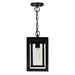 CWI Lighting 0415P7-1-101 Mulvane One Light Outdoor Hanging Pendant, Black Alternate Image 2.jpg