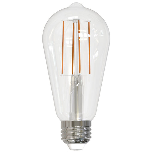 Bulbrite 776631 Filaments: Light Bulb Clear Alternate Image.jpg