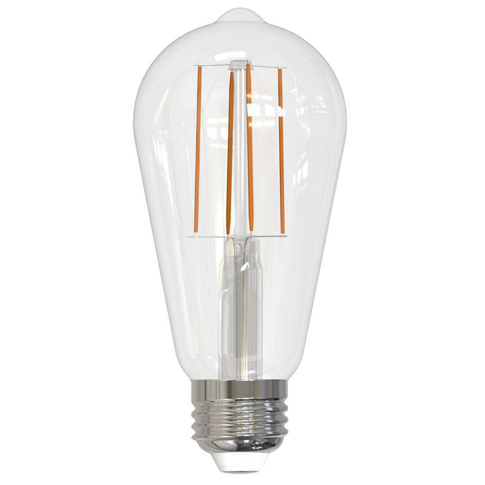 Bulbrite 776631 Filaments: Light Bulb Clear Alternate Image.jpg