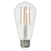 Bulbrite 776631 Filaments: Light Bulb Clear Alternate Image.jpg