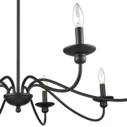 Millennium 4388-MB Delvona Eight Light Chandelier, Matte Black Alternate Image 4.jpg