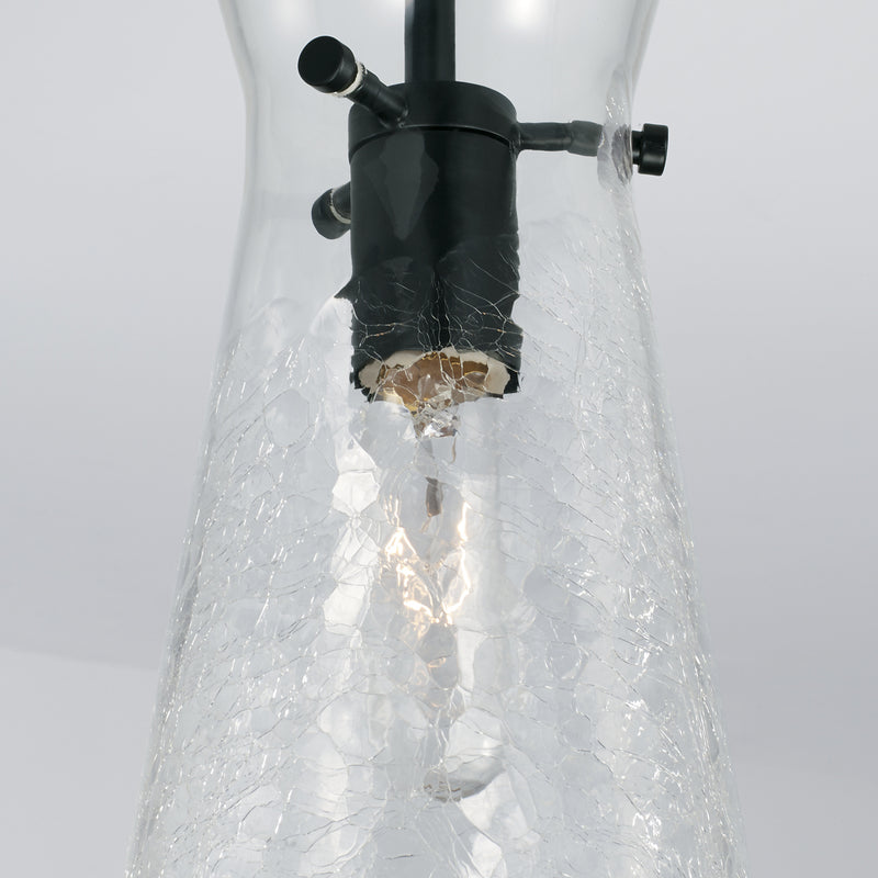 Capital Lighting 342411MB Mila One Light Pendant, Matte Black Alternate Image.jpg