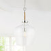 Capital Lighting 9F371A One Light Pendant, Polished Nickel (3)