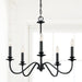 Capital Lighting 9F375A Five Light Chandelier, Matte Black (4)