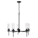 Capital Lighting AA1017MB Five Light Chandelier, Matte Black (2)