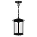 CWI Lighting 0422P7-1-101 Oakwood One Light Outdoor Pendant Black Alt 2.jpg