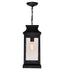 CWI Lighting 0418P7L-1 Milford One Light Outdoor Pendant, Black Alternate Image.jpg