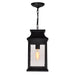 CWI Lighting 0418P7S-1 Milford One Light Outdoor Pendant, Black Alternate Image.jpg