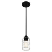 Quoizel ACA1504MBK Acacia One Light Mini Pendant, Matte Black Alternate Image 3.jpg