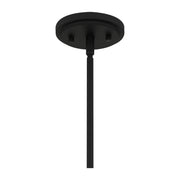 Quoizel ACA1504MBK Acacia One Light Mini Pendant, Matte Black Alternate Image.jpg