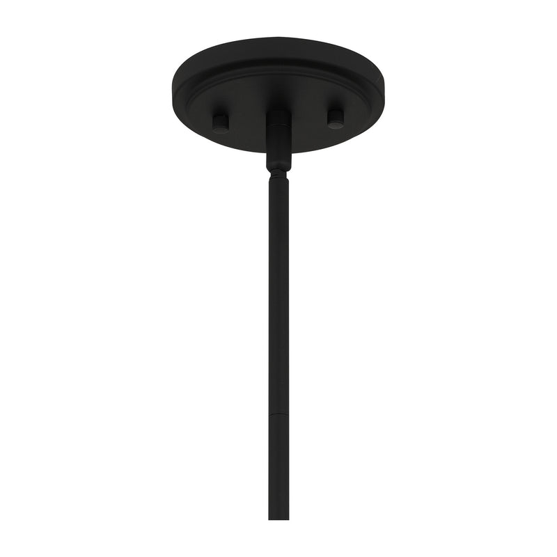 Quoizel ACA1504MBK Acacia One Light Mini Pendant, Matte Black Alternate Image.jpg
