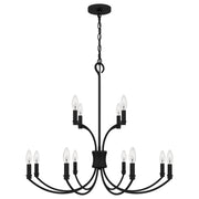 Quoizel BRR5032MBK Briar 12 Light Chandelier, Matte Black Alternate Image.jpg