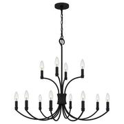 Quoizel BRR5032MBK Briar 12 Light Chandelier, Matte Black Alternate Image 2.jpg