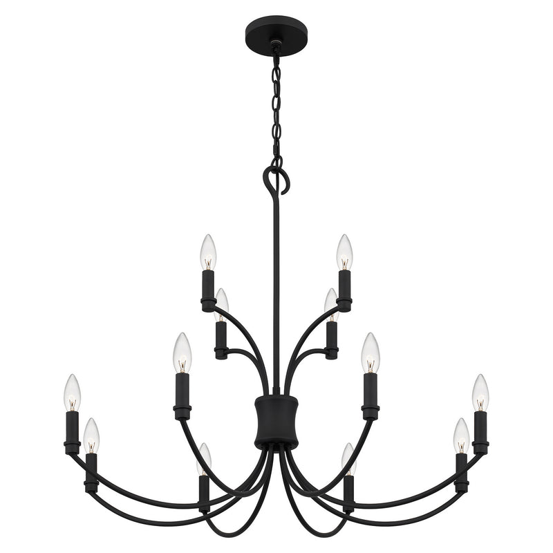 Quoizel BRR5032MBK Briar 12 Light Chandelier, Matte Black Alternate Image 3.jpg