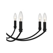 Quoizel BRR5032MBK Briar 12 Light Chandelier, Matte Black Alternate Image 4.jpg