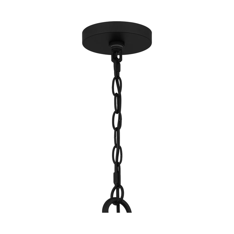 Quoizel BRR5032MBK Briar 12 Light Chandelier, Matte Black Alternate Image.jpg