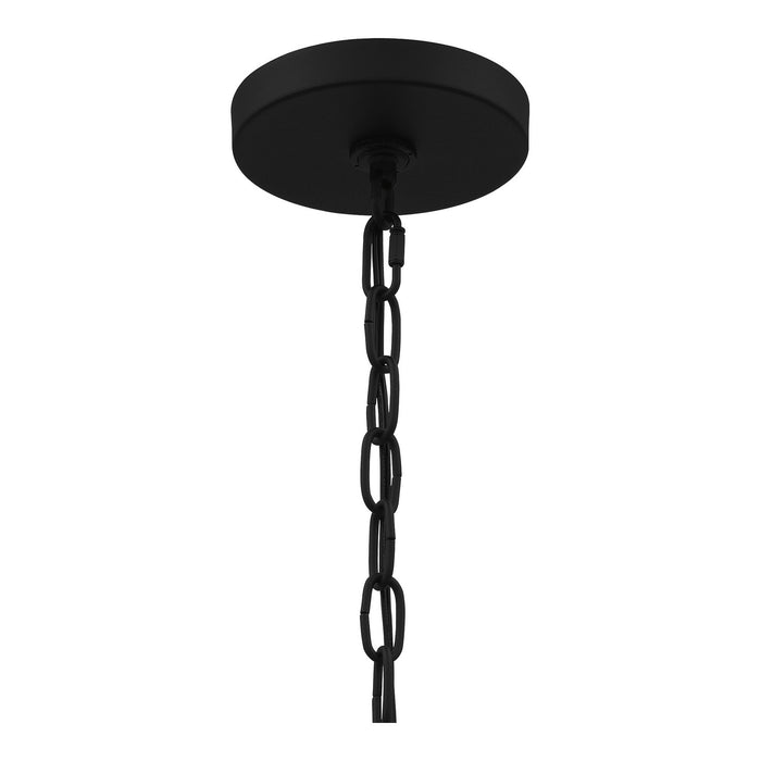 Quoizel CAI2814EK Calais Four Light Pendant, Earth Black Alternate Image.jpg