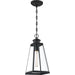 Quoizel PAX1507MBK Paxton One Light Mini Pendant, Matte Black Alternate Image 3.jpg