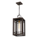 Quoizel PLH1510WT Pelham One Light Mini Pendant, Western Bronze Alternate Image 3.jpg