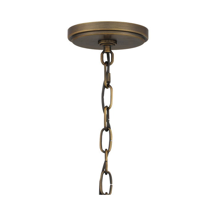 Quoizel QOP5222FR Tucker Four Light Pendant, French Bronze Alternate Image.jpg