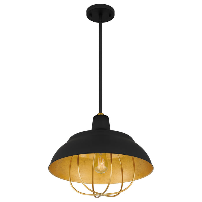 Quoizel QP5357MBK Darmody One Light Pendant, Matte Black Alternate Image 3.jpg