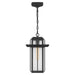 Quoizel RDL1509MB Randall One Light Mini Pendant, Mottled Black Alternate Image 2.jpg