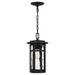 Quoizel UMA1508MBK Uma One Light Mini Pendant, Matte Black Alternate Image.jpg