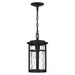 Quoizel UMA1508MBK Uma One Light Mini Pendant, Matte Black Alternate Image 3.jpg