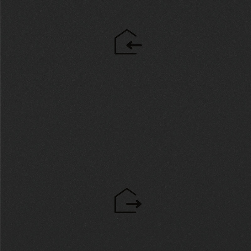 adorne® WNAL33G1 Home/Away Wireless Smart Switch with Netatmo, Graphite Alternate Image.jpg