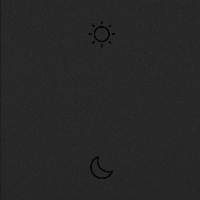 adorne® WNAL43G1 Wake/Sleep Wireless Smart Switch with Netatmo, Graphite Alternate Image.jpg