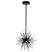 CWI Lighting 1034P16-6-101 Savannah Six Light Chandelier Black Alt 2.jpg