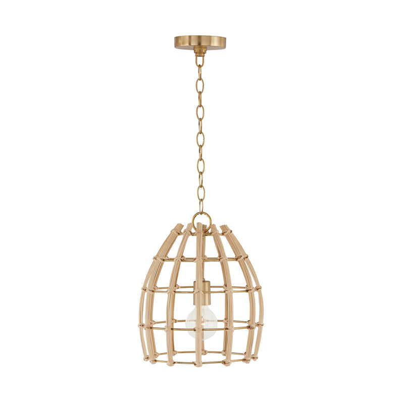 Capital Lighting 344111MA Wren One Light Pendant, Matte Brass Alternate Image.jpg