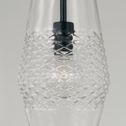 Capital Lighting 345011MB Dena One Light Pendant, Matte Black Alternate Image.jpg