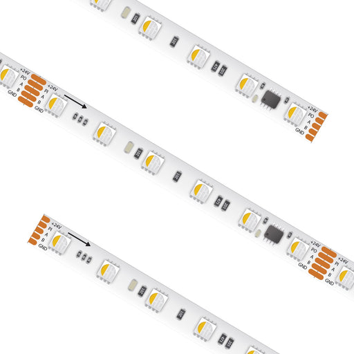 American Lighting HTL20-PXL-RGBW6-24VDC-16 Main Image.jpg