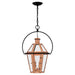 Quoizel BURD1916AC Burdett Two Light Outdoor Hanging Lantern, Aged Copper Alternate Image.jpg