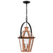 Quoizel BURD1916AC Burdett Two Light Outdoor Hanging Lantern, Aged Copper Alternate Image 2.jpg