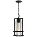 Quoizel DMN1507EK Damien One Light Mini Pendant, Earth Black Alternate Image.jpg