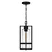 Quoizel DMN1507EK Damien One Light Mini Pendant, Earth Black Alternate Image 2.jpg